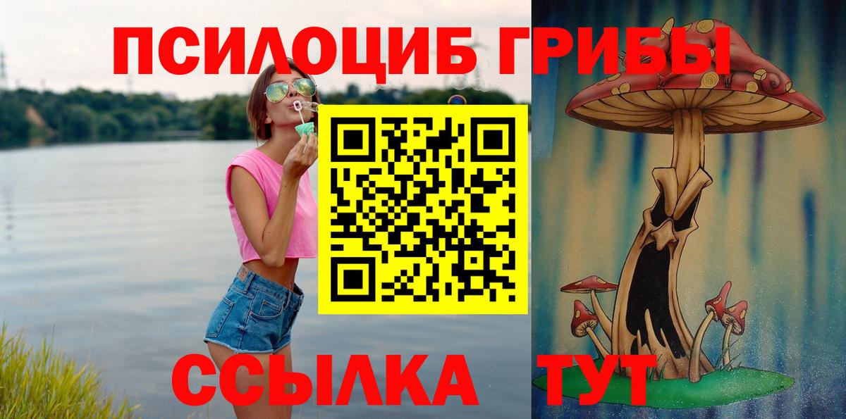 Псилоцибиновые грибы Magic Shrooms  Вход с VPN  Приморско-Ахтарск  Псилоцибиновые грибы GOLDEN TEACHER 